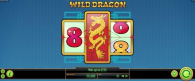 Wild Dragon