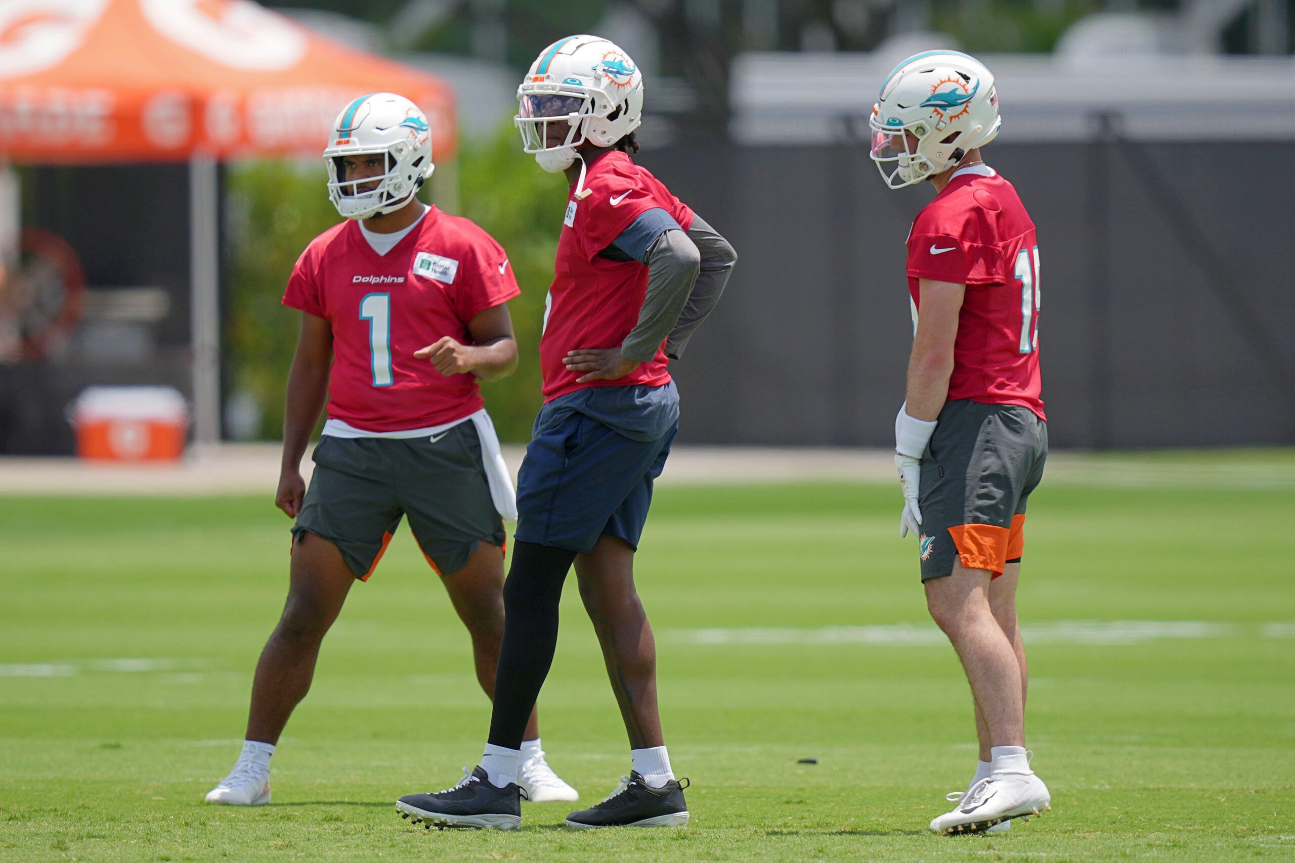 Backup Breakdown QB Edition Miami Dolphins